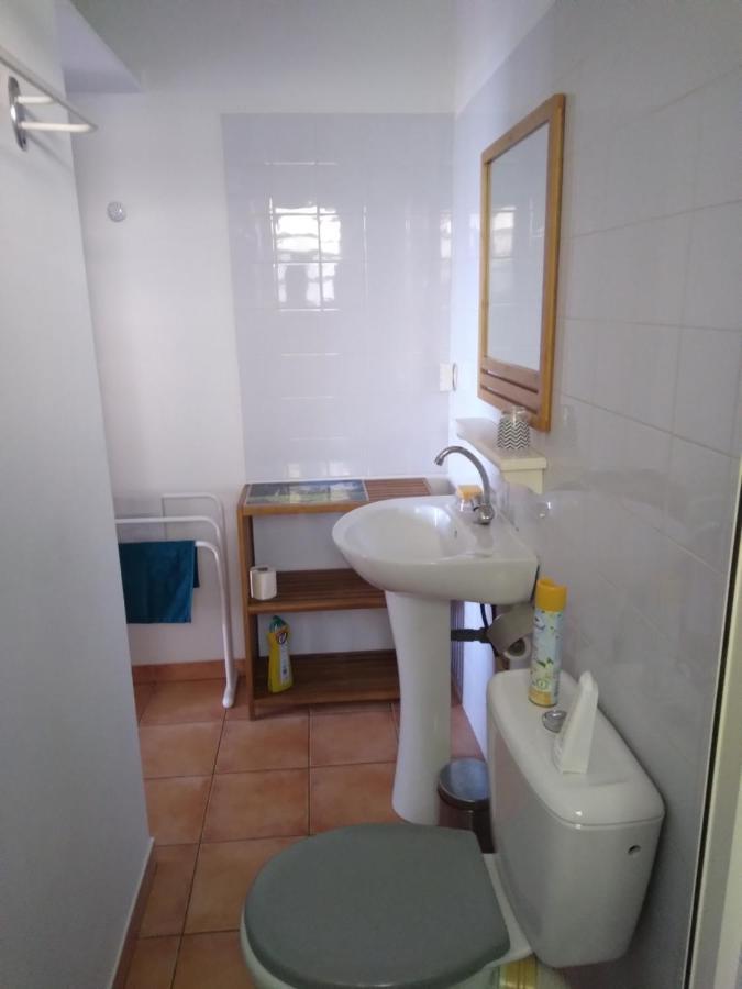 Studio Aux Avirons Pour 2 Personnes, Avec Piscine Les Avirons Kültér fotó
